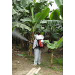 423 EVOLUTION ATOMIZADOR MOTOR